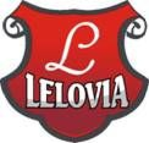 LKS Lelovia Lelów wycofuje się Klasy A, grupa II